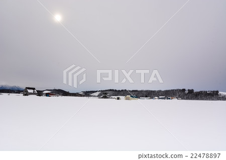 雪國（2） 22478897