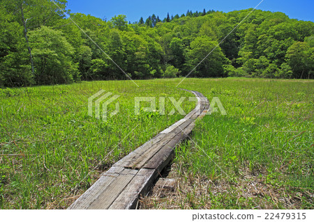 Spring no Neno wetland 22479315