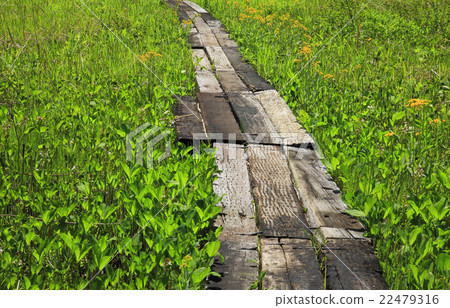 春天沒有Neno濕地 春天沒有Neno濕地 22479316