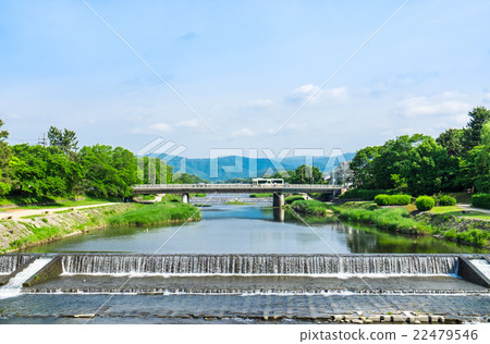 京都的Kamogawa新綠色 22479546