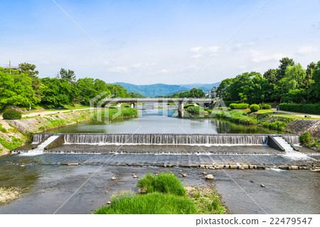 京都的Kamogawa新綠色 22479547