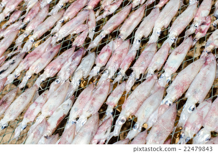 Fresh squids on the gridiron, traditional squids Fresh squids on the gridiron, traditional squids 22479843