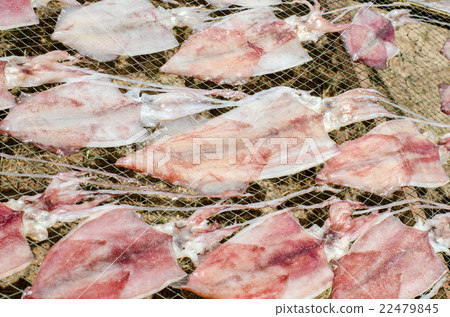 Fresh squids on the gridiron, traditional squids 22479845