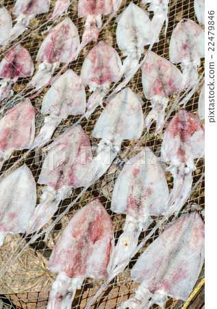 Fresh squids on the gridiron, traditional squids 22479846