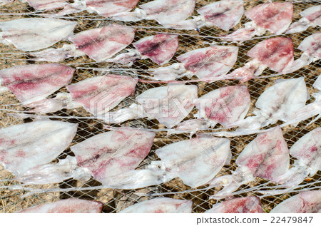 Fresh squids on the gridiron, traditional squids 22479847
