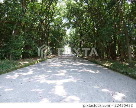 Tree trees 22480458