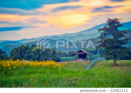 small house and Mountain. Chaingrai Thailand. small house and Mountain. Chaingrai Thailand. 22481115