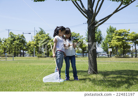 Outdoor elementary school student Outdoor elementary school student 22481197