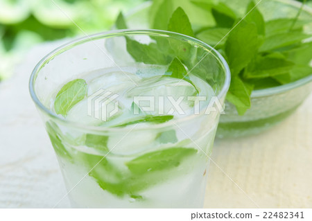 Mint Water 22482341