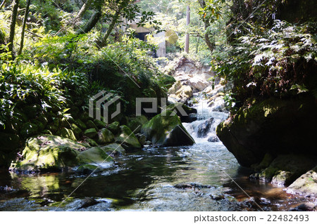 Manyo Park Manyo Park 22482493