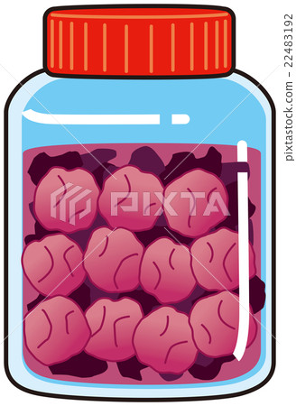 Umeboshi與梅花瓶 22483192