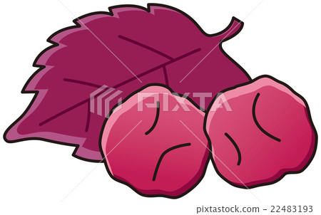 Umeboshi和reddash 22483193