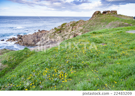 Aomori Prefecture Hachinohe City Species Coast Reedgezaki Observatory 22483209
