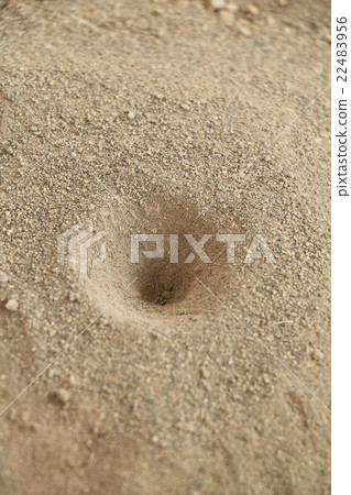 The nest of ant hell The nest of ant hell 22483956