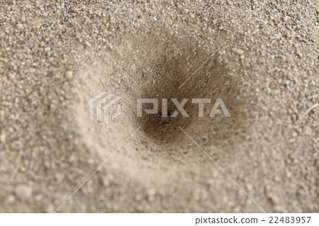 The nest of ant hell 22483957