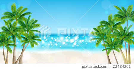 Seaside beach palm tree 22484201