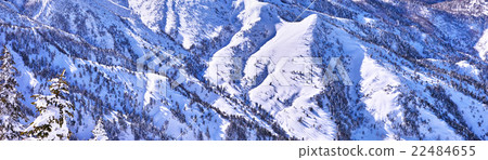 "Peep" of Shiga Kogen in winter snow scene 22484655