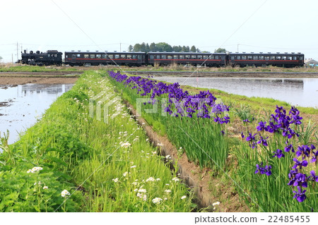 Moka Railway “SL Moka and rural scenery in May” Moka Railway “SL Moka and rural scenery in May” 22485455