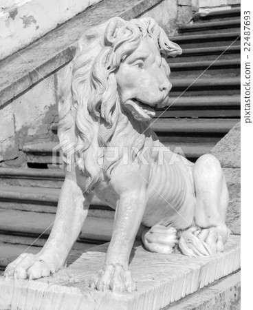 Lion metal Statue 22487693