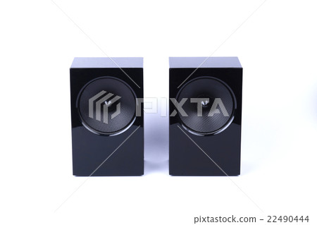 Speaker 22490444