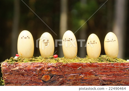 Resident of forest road Resident of forest road 22490464