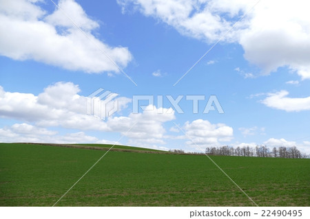 Blue sky and prairie Blue sky and prairie 22490495