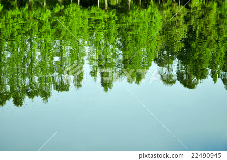 Fresh green 22490945