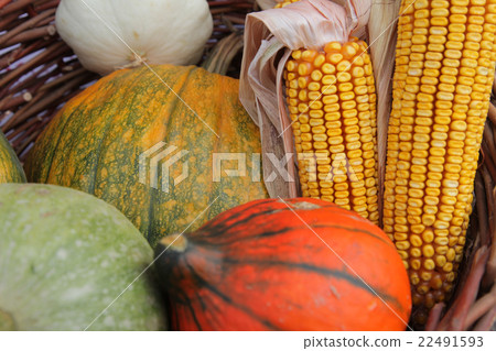 Autumn Harvest Autumn Harvest 22491593