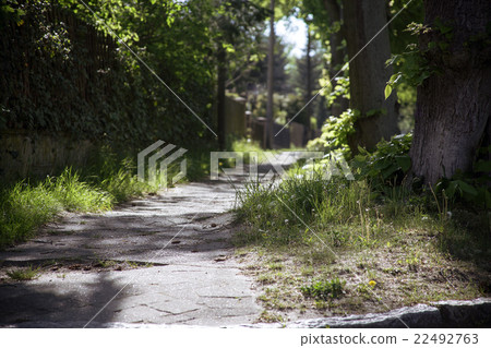 summer way 22492763
