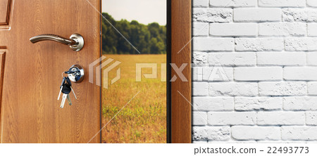 Entrance door half opened to the nature background 22493773