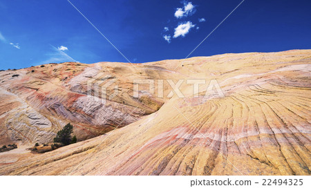 Yellow Rock 22494325