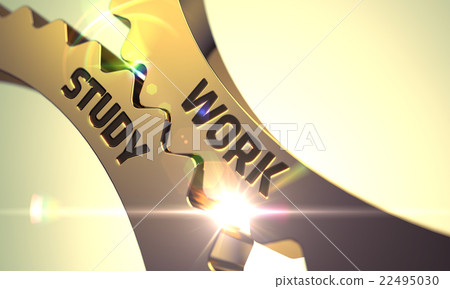 Work Study Concept. Golden Metallic Gears. Work Study Concept. Golden Metallic Gears. 22495030