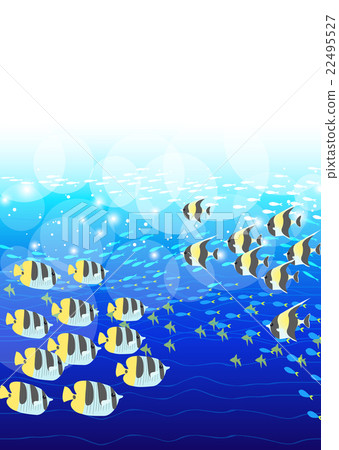 A group of tropical fish blue ocean A group of tropical fish blue ocean 22495527