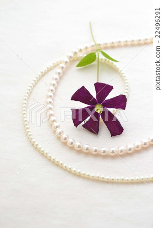 Pearl and clematis Pearl and clematis 22496291