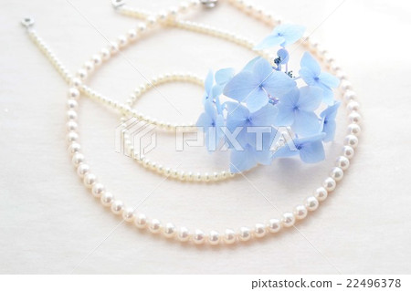 Pearl and hydrangea Pearl and hydrangea 22496378