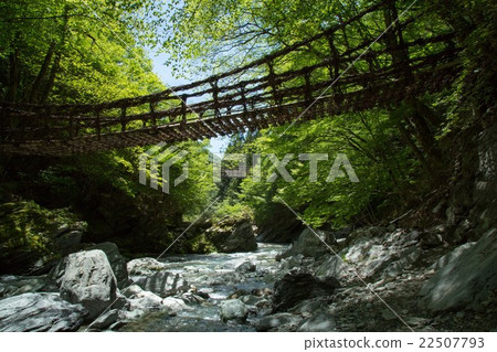 在Kazura-bashi和Shimizu流下來的Oku Iya Double-bunka  -  Inari河 22507793