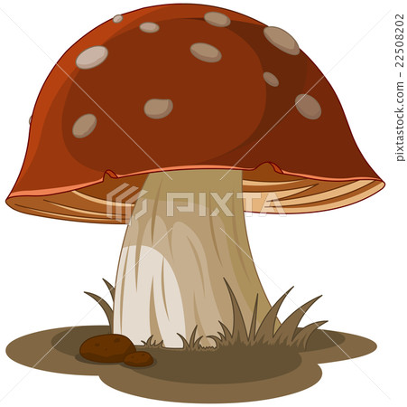 Magic Mushroom 22508202
