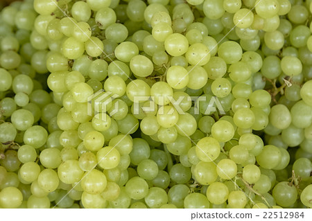Fresh green wine grapes background 22512984