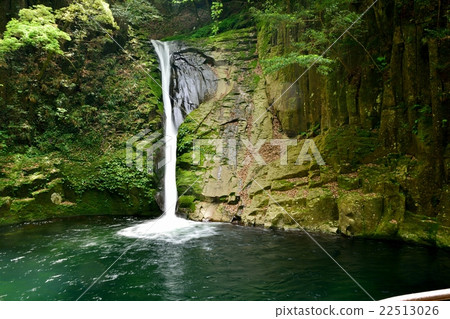 Red-eye Shotsu 8 Falls in early summer "Cloth Falls" Red-eye Shotsu 8 Falls in early summer "Cloth Falls" 22513026