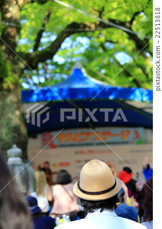 Flower Festival 22513818