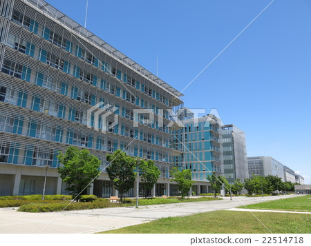 東京柏木大學校園在春天的新鮮綠色是美麗的 22514718