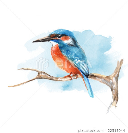 Kingfisher on branch 2. Watercolor bird 22515044