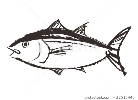 Tuna - Stock Illustration [22515443] - PIXTA