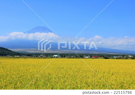 富士和米領域在藍天 富士和米領域在藍天 22515798