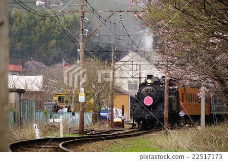 Oigawa Railway steam locomotive Oigawa Railway steam locomotive 22517173
