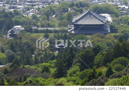 從若草看到的東大寺 從若草看到的東大寺 22517446