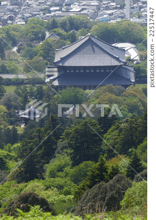 從若草看到的東大寺 從若草看到的東大寺 22517447