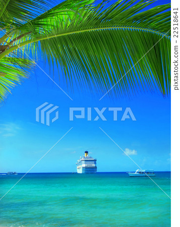 tropical beach in Dominican republic Caribbean sea tropical beach in Dominican republic Caribbean sea 22518641