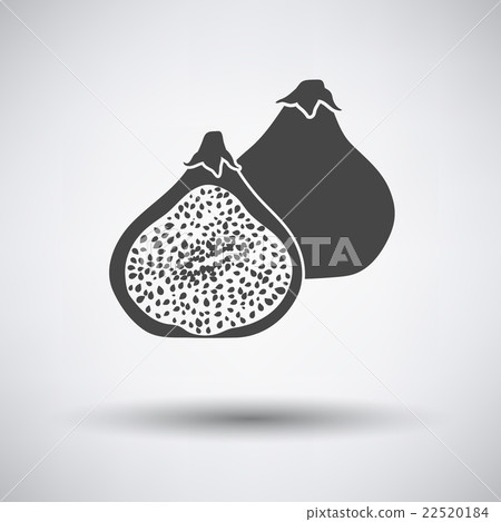 Fig fruit icon on gray background 22520184
