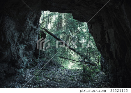 Exit to the forest from the dark rocky cave Exit to the forest from the dark rocky cave 22521135